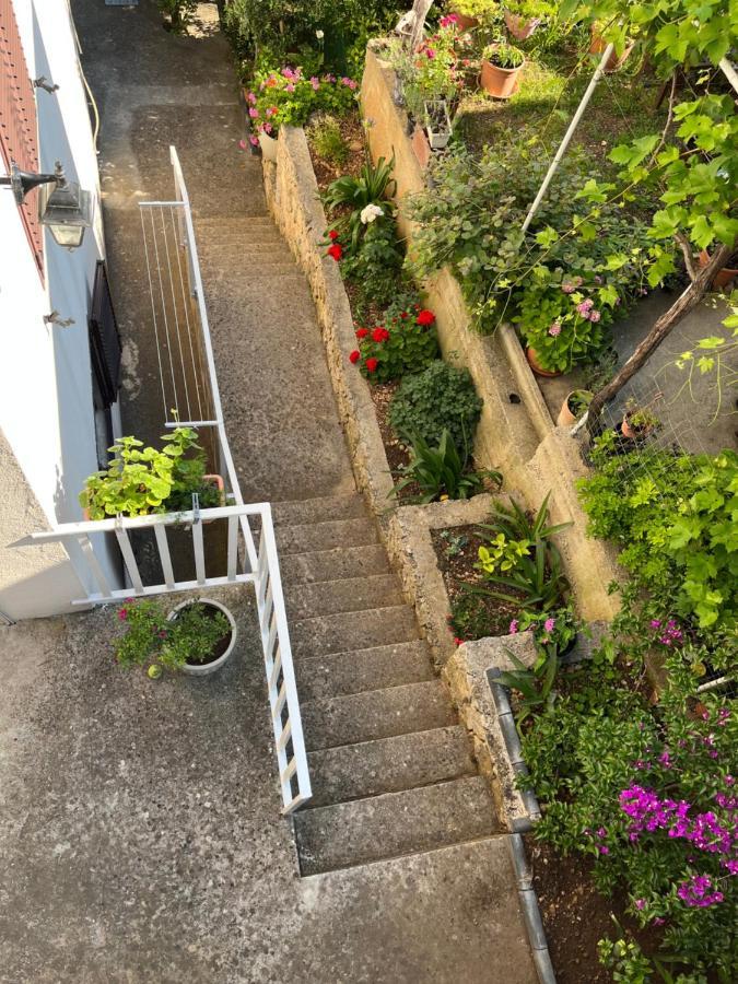 Apartma Despotovic